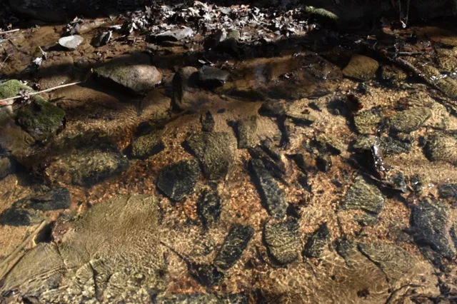 $100,300 | 305 Timberwood Trace, Monteagle, TN 37356