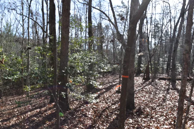 $100,300 | 305 Timberwood Trace, Monteagle, TN 37356