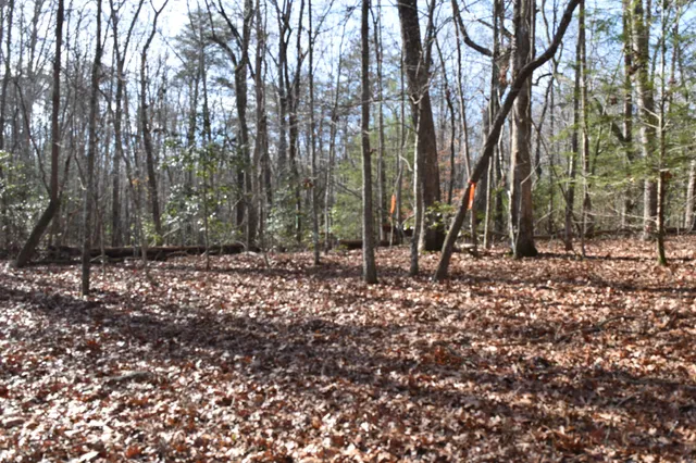 $100,300 | 305 Timberwood Trace, Monteagle, TN 37356