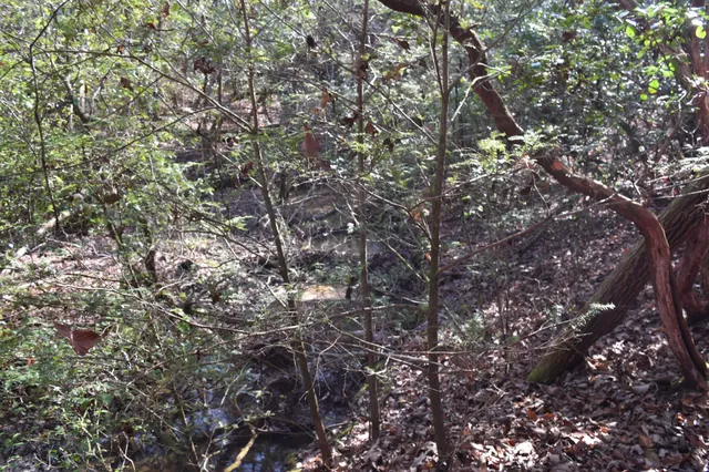 $100,300 | 305 Timberwood Trace, Monteagle, TN 37356