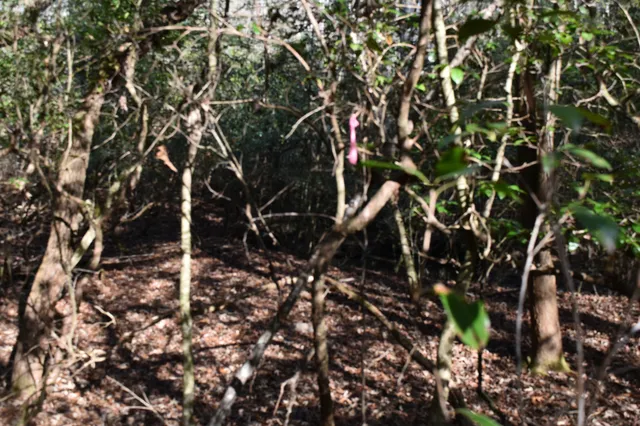 $100,300 | 305 Timberwood Trace, Monteagle, TN 37356