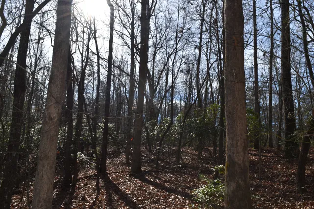 $100,300 | 305 Timberwood Trace, Monteagle, TN 37356