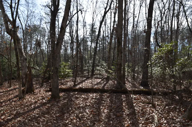 $100,300 | 305 Timberwood Trace, Monteagle, TN 37356