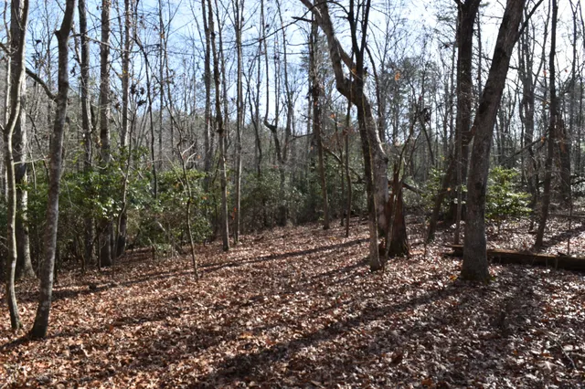 $100,300 | 305 Timberwood Trace, Monteagle, TN 37356