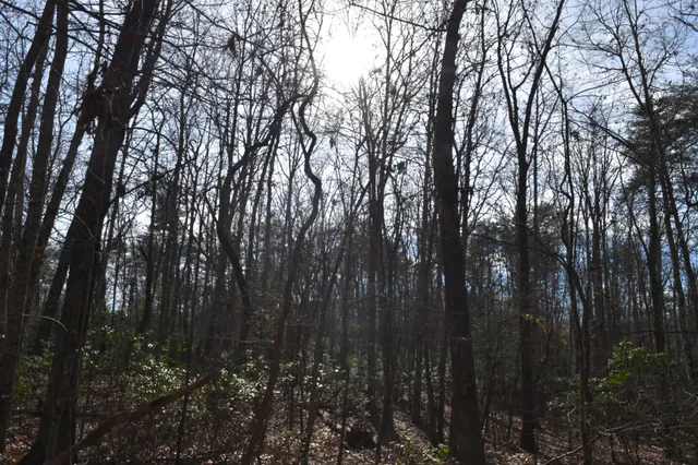 $100,300 | 305 Timberwood Trace, Monteagle, TN 37356