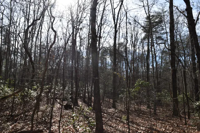 $100,300 | 305 Timberwood Trace, Monteagle, TN 37356