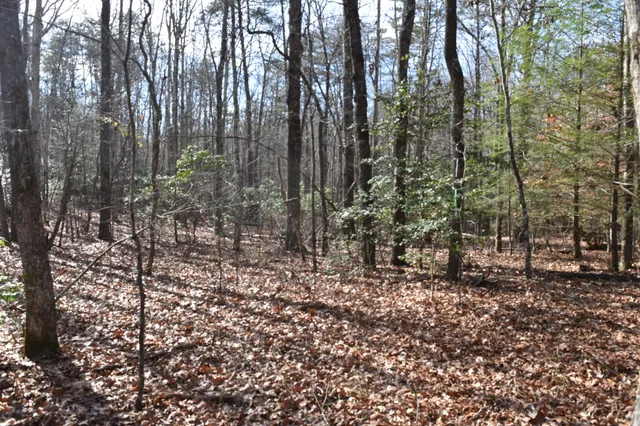 $100,300 | 305 Timberwood Trace, Monteagle, TN 37356