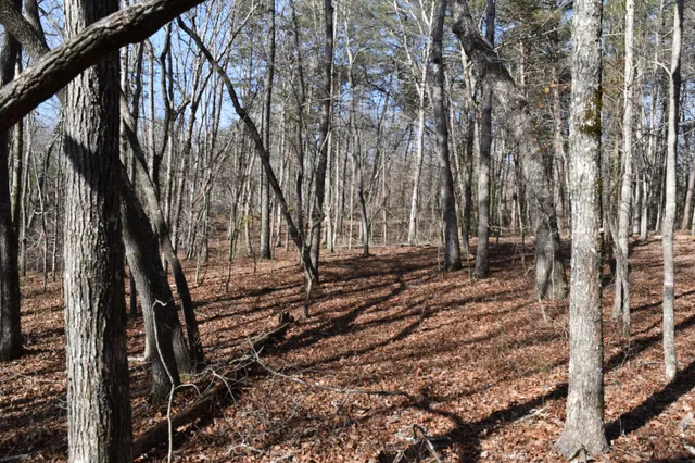 $100,300 | 305 Timberwood Trace, Monteagle, TN 37356