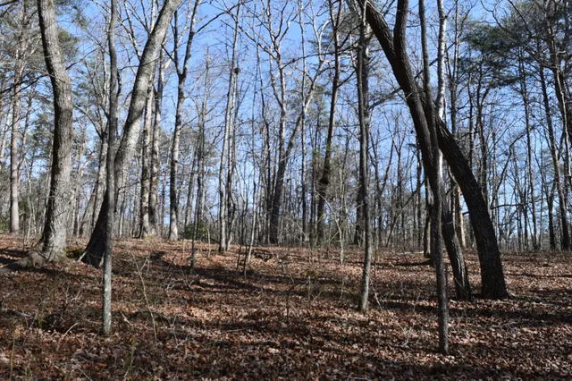 $100,300 | 305 Timberwood Trace, Monteagle, TN 37356