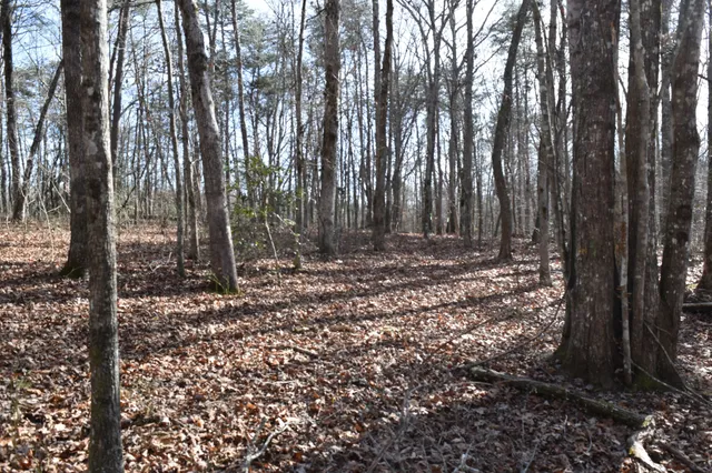 $100,300 | 305 Timberwood Trace, Monteagle, TN 37356