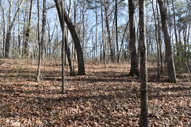 $100,300 | 305 Timberwood Trace, Monteagle, TN 37356