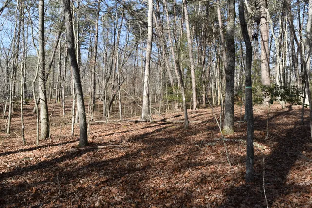 $100,300 | 305 Timberwood Trace, Monteagle, TN 37356