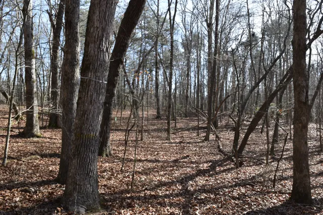 $100,300 | 305 Timberwood Trace, Monteagle, TN 37356