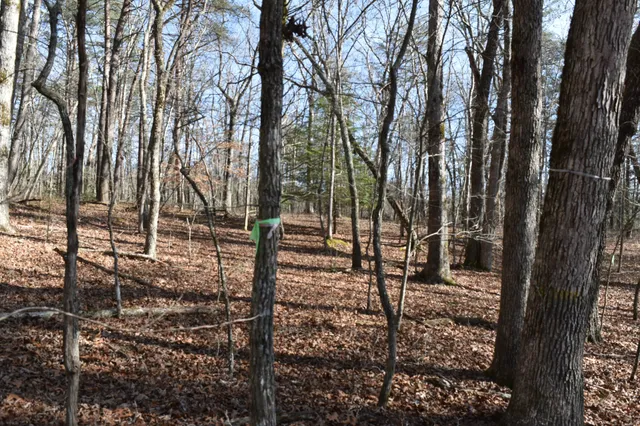 $100,300 | 305 Timberwood Trace, Monteagle, TN 37356