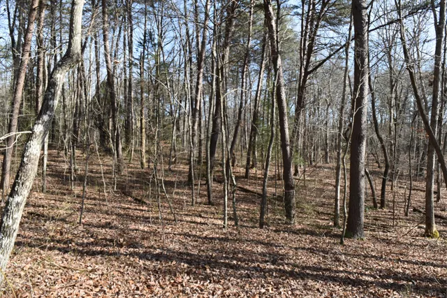 $100,300 | 305 Timberwood Trace, Monteagle, TN 37356