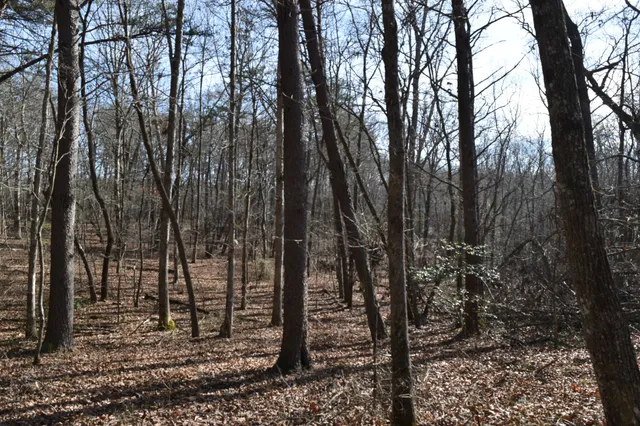 $100,300 | 305 Timberwood Trace, Monteagle, TN 37356