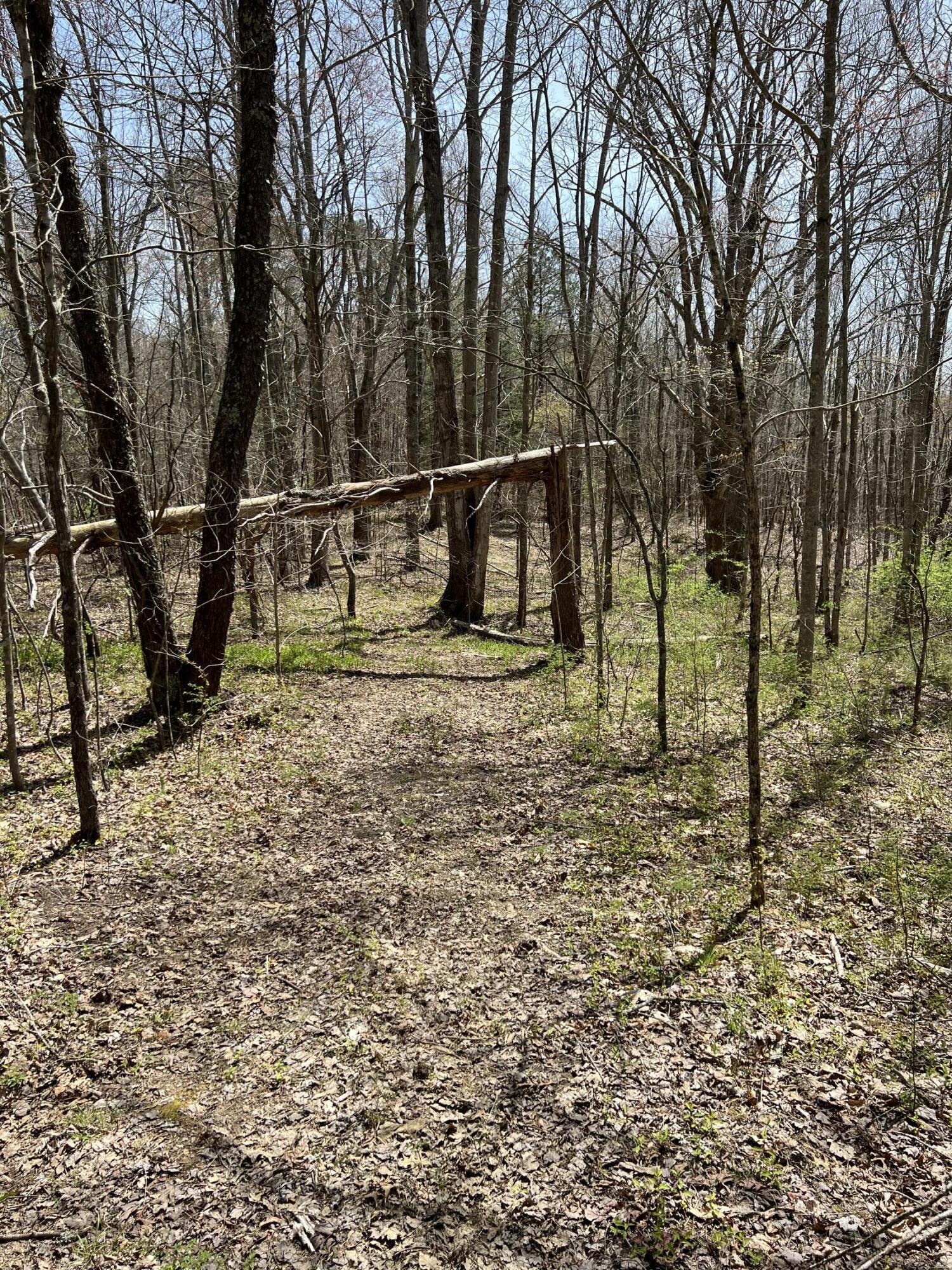 1800 South Tree Tower Road McKee, KY 40447 - Photo 29 of 32 IMG_1171