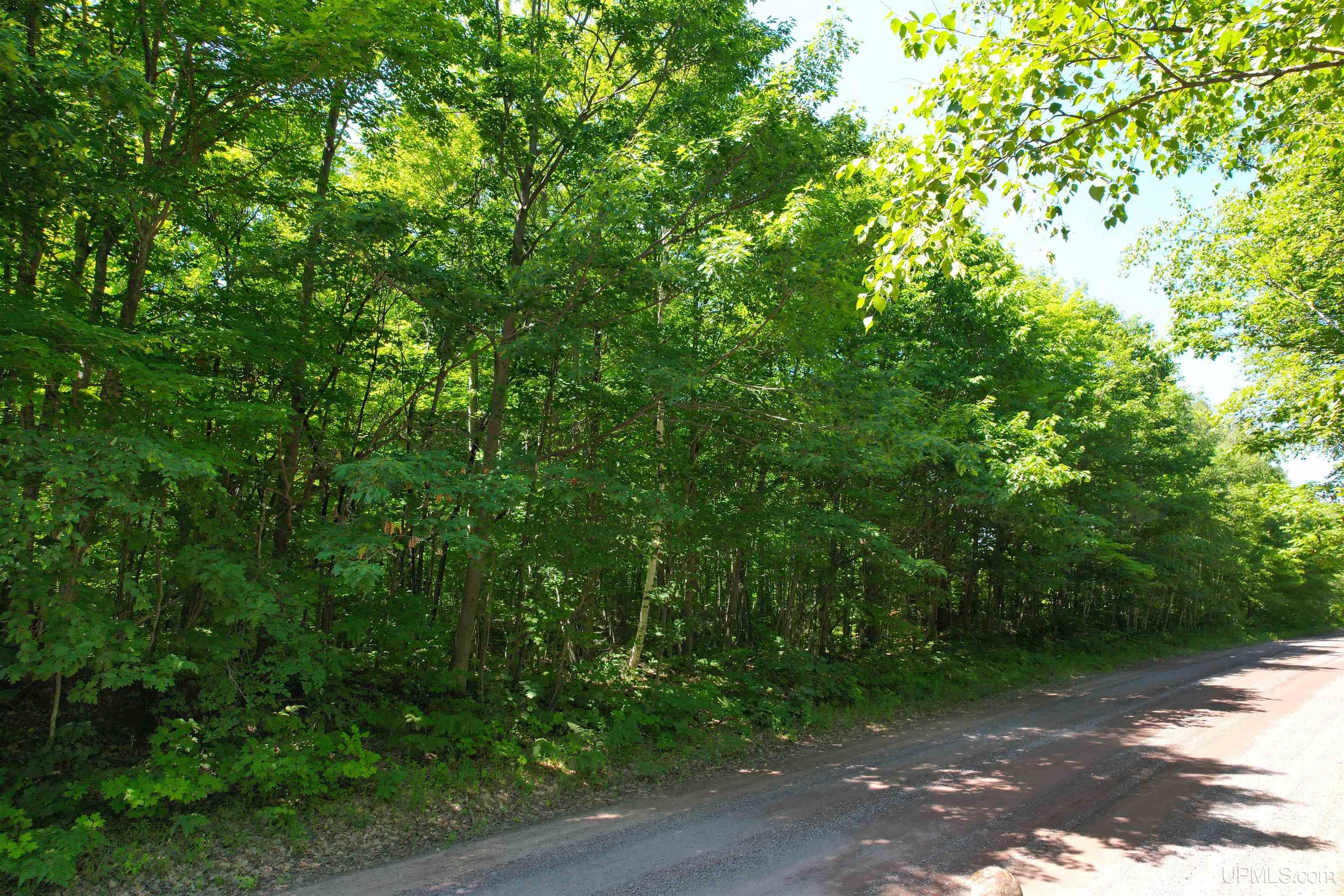 Tbd Superior Shores Road Atlantic Mine, MI 49905 - Photo 14 of 27