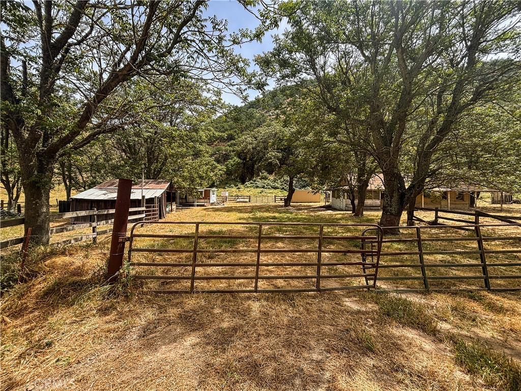 124 Lockwood San Ardo Road San Ardo, CA 93450 - Photo 11 of 13 a view of outdoor space with trees