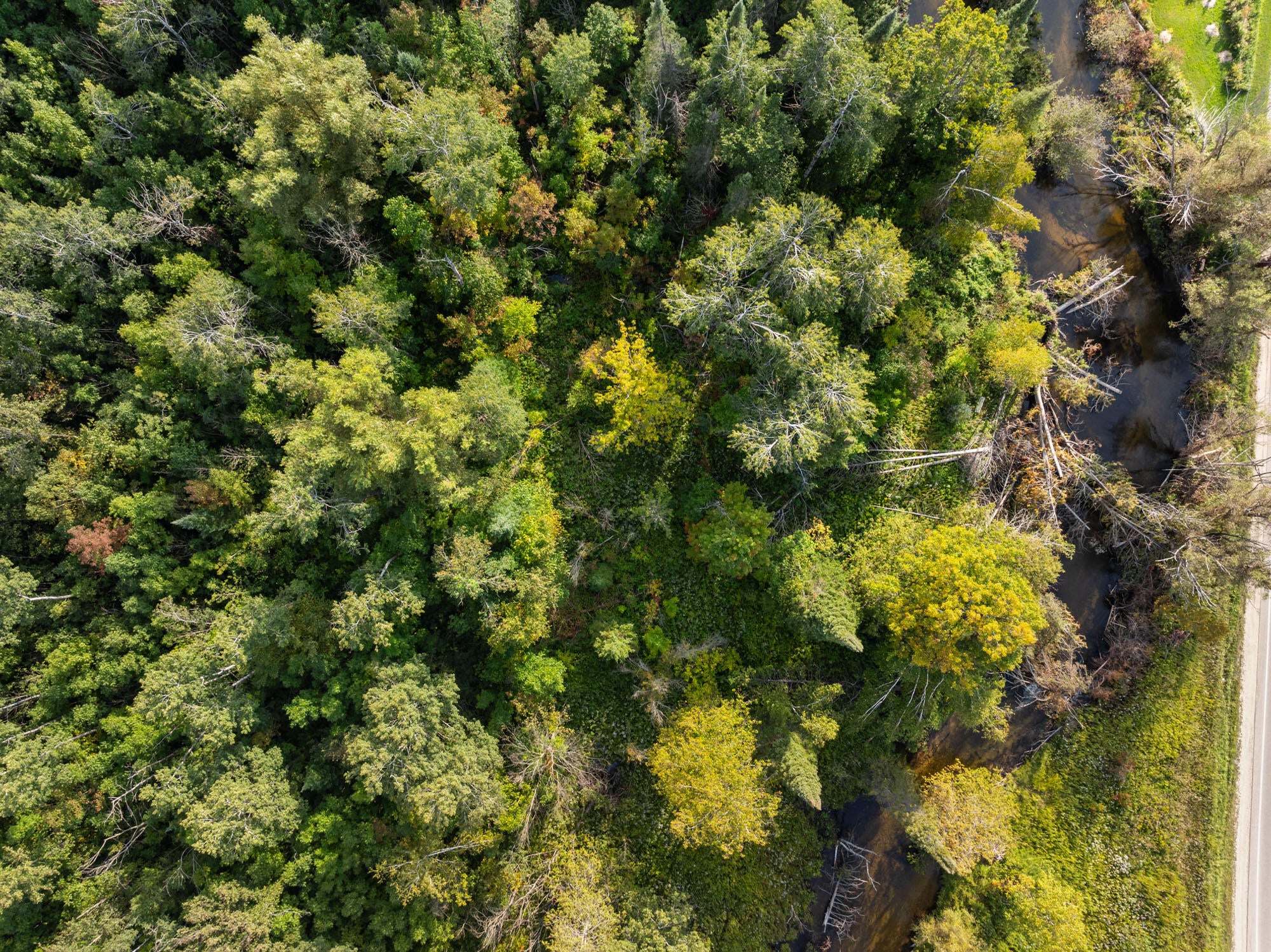 13363 Baird Road Wolverine, MI 49799 - Photo 40 of 43 DJI_20250911052955_0407_D