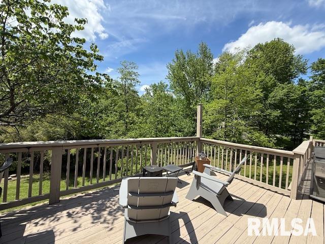 39 Apple Orchard Road Carbondale, IL 62903 - Photo 5 of 19