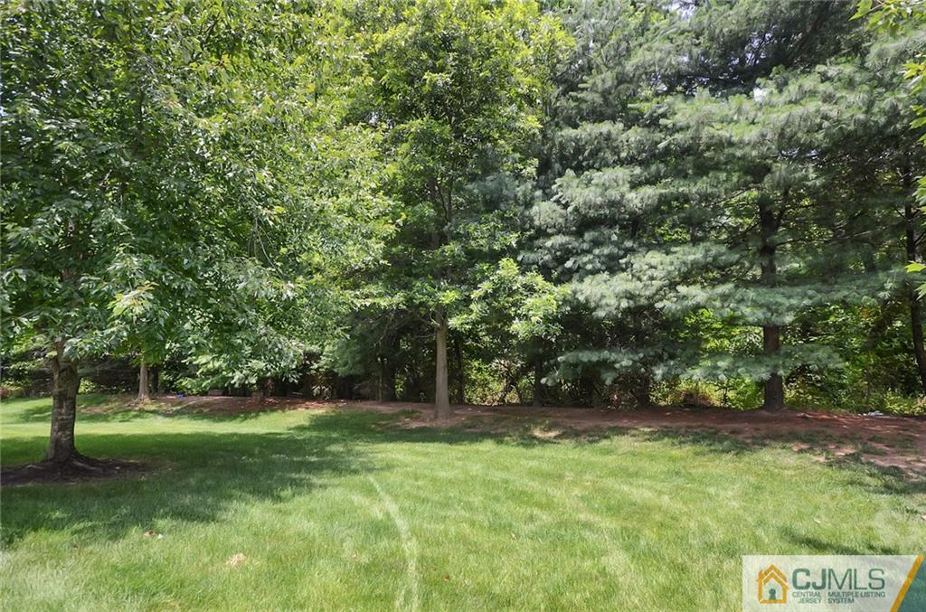 1401 Plymouth Road North Brunswick, NJ 08902 - Photo 25 of 25 a view of a yard with a tree