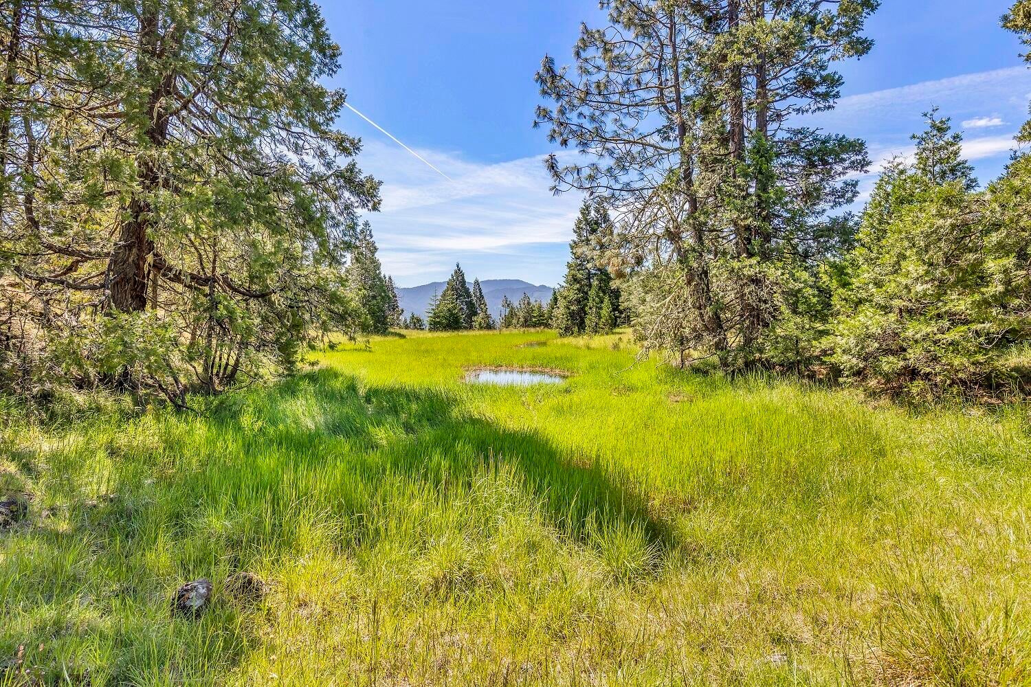 0 Riddle Bypass Road Riddle, OR 97469 - Photo 1 of 36 Jerry Flat