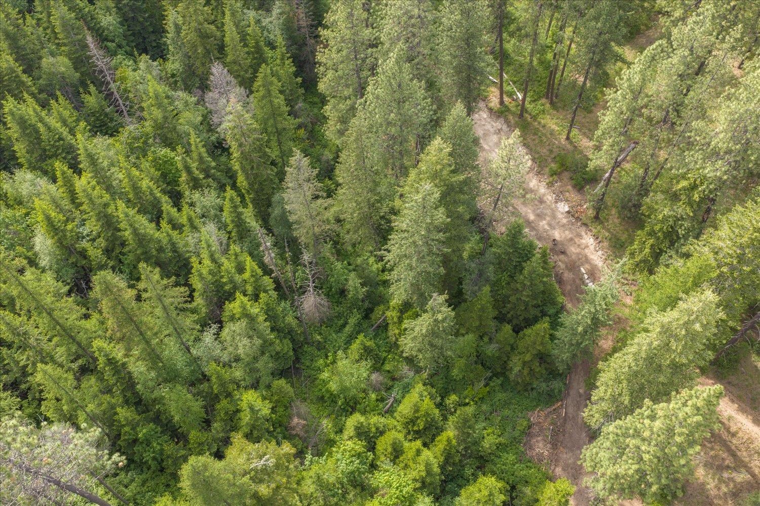22-xxx North Madison Road Mead, WA 99021 - Photo 21 of 35