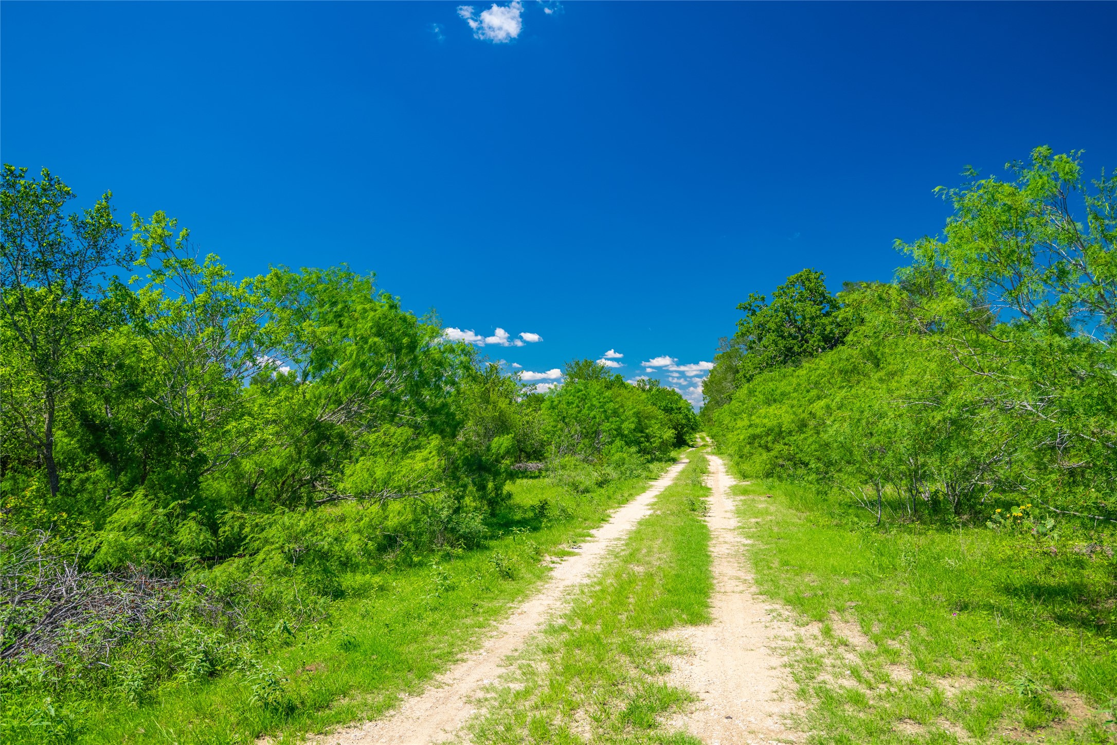 0 Sparta Field Road Waelder, TX 78959 - Photo 11 of 29 Gallery Image 11