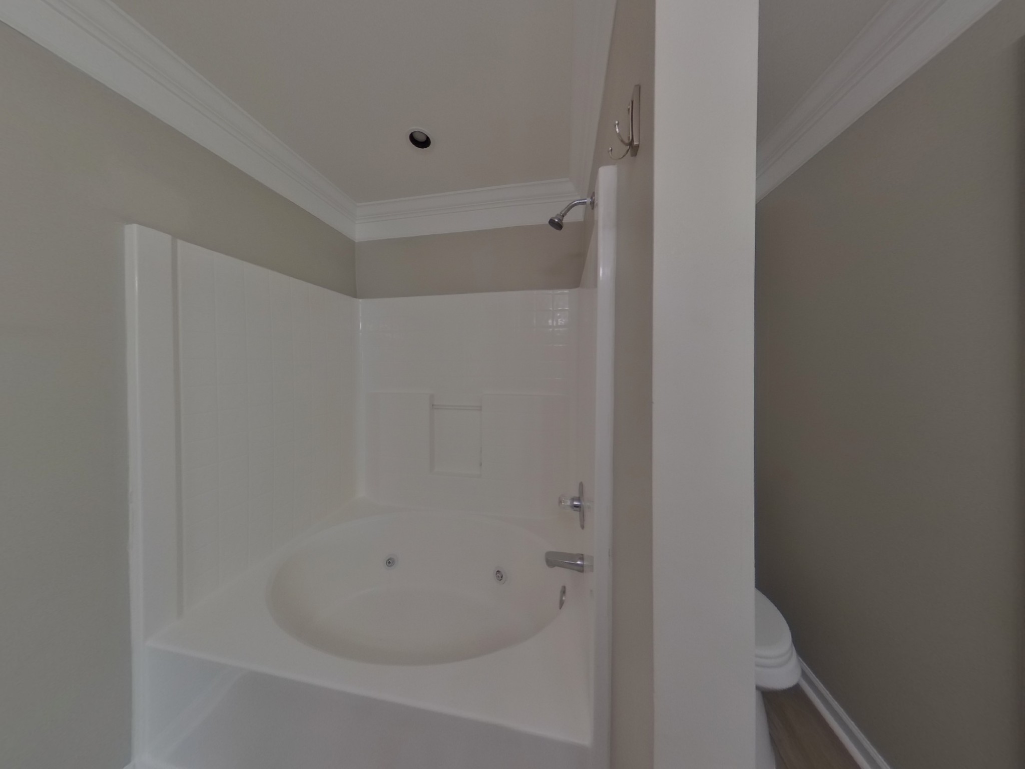 4029 Deer Run Trace Spring Hill, TN 37174 - Photo 7 of 16 a close up of a bathtub