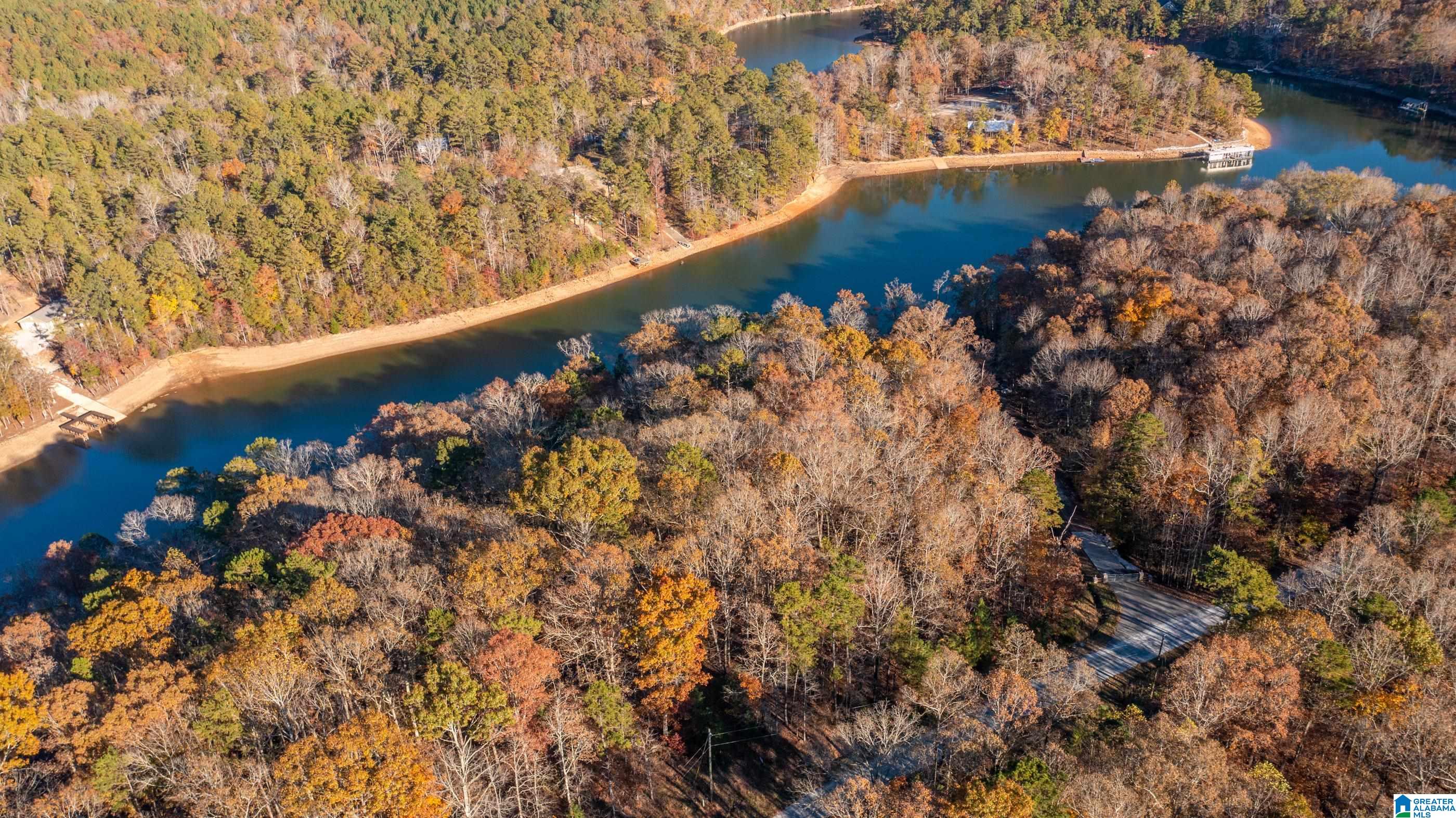 Lot 2 Emily Avenue, Unit 2 Lineville, AL 36266 - Photo 2 of 12