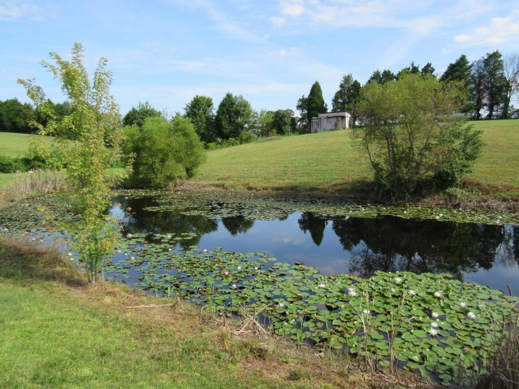 300 Mohawk Ridge Road, Unit 17 Bulls Gap, TN 37711 - Photo 2 of 8 Fish Pond