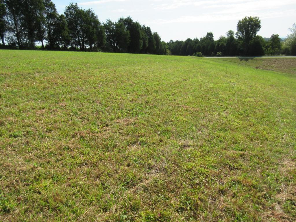 300 Mohawk Ridge Road, Unit 17 Bulls Gap, TN 37711 - Photo 8 of 8 Photo 8