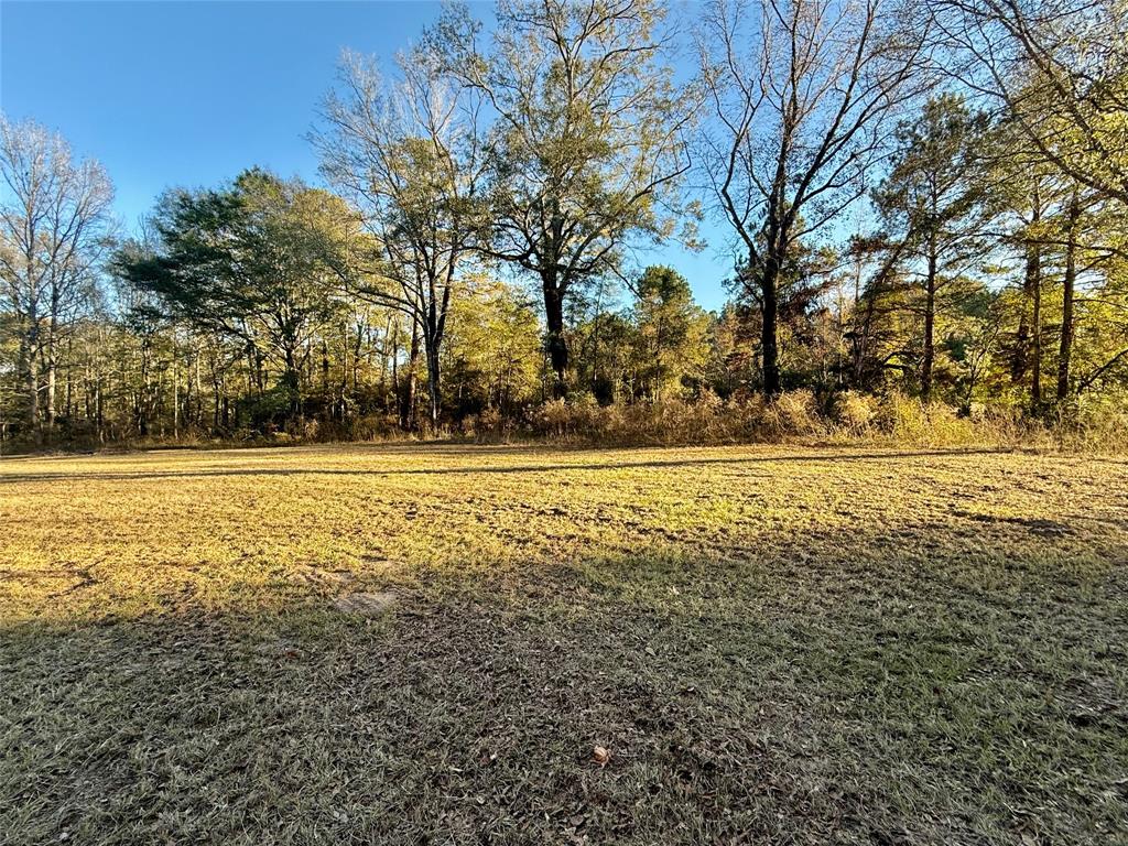 159 Yellow Pine Road Sibley, LA 71073 - Photo 31 of 33 a view of outdoor space with trees