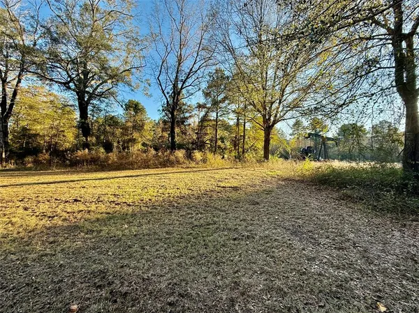a view of yard with trees