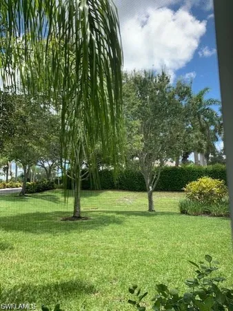 a view of a tree in a park