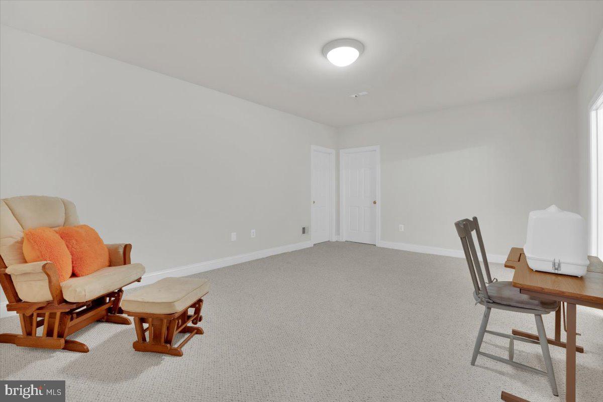 16886 Ivandale Road Hamilton, VA 20158 - Photo 49 of 68 Additional Room in the Basement