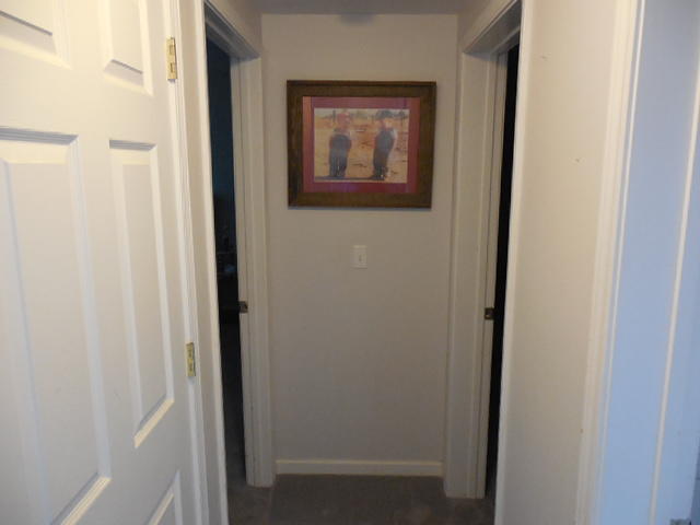 101 East Ridges Drive Chuckey, TN 37641 - Photo 25 of 31 DSCN0114