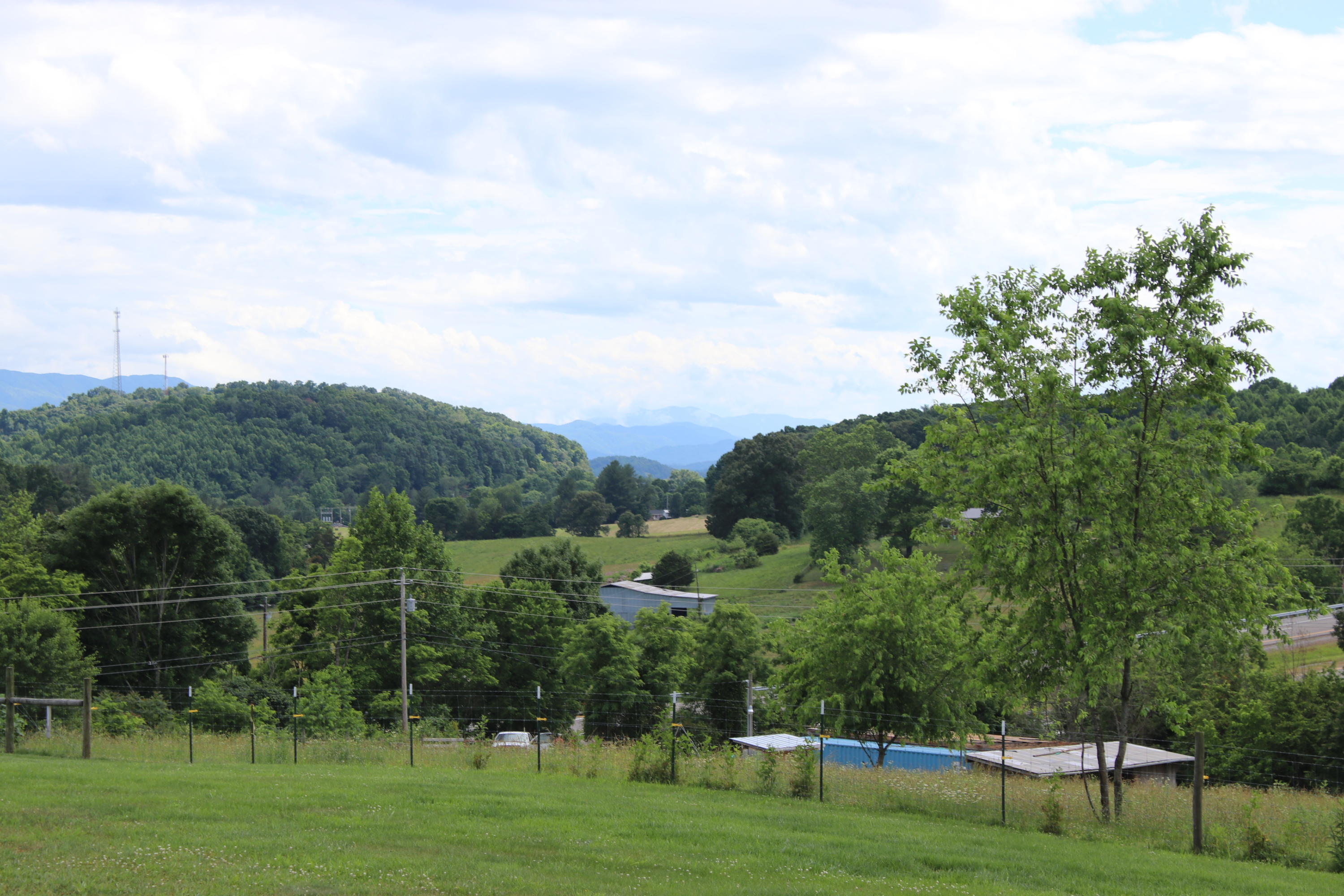 101 East Ridges Drive Chuckey, TN 37641 - Photo 30 of 31 IMG_9610