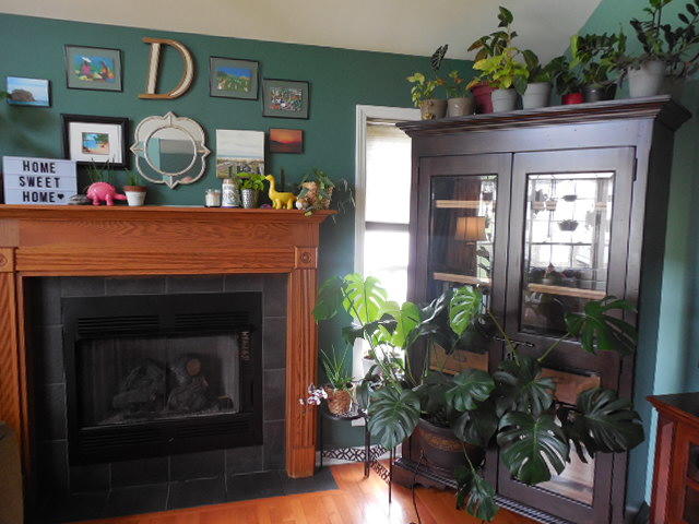 101 East Ridges Drive Chuckey, TN 37641 - Photo 7 of 31 DSCN0104