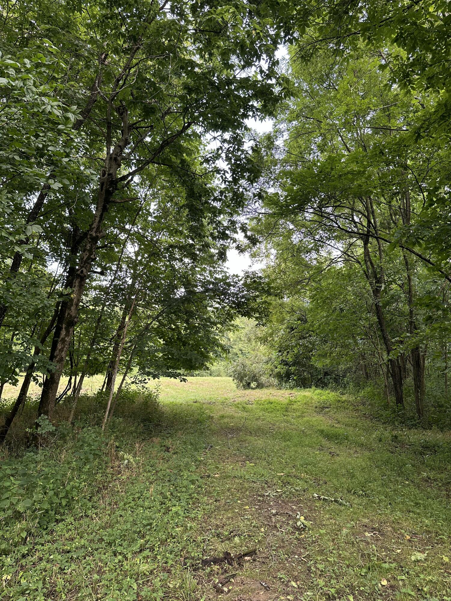 527 South Dividing Ridge Road Sadieville, KY 40370 - Photo 5 of 19 IMG_2753
