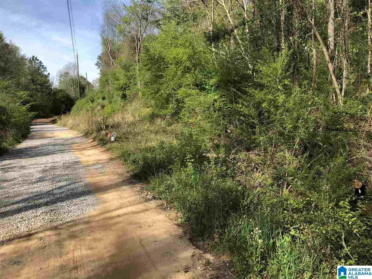11-acres Morgan Road, Unit 11 ACRES Helena, AL 35022 - Photo 8 of 11