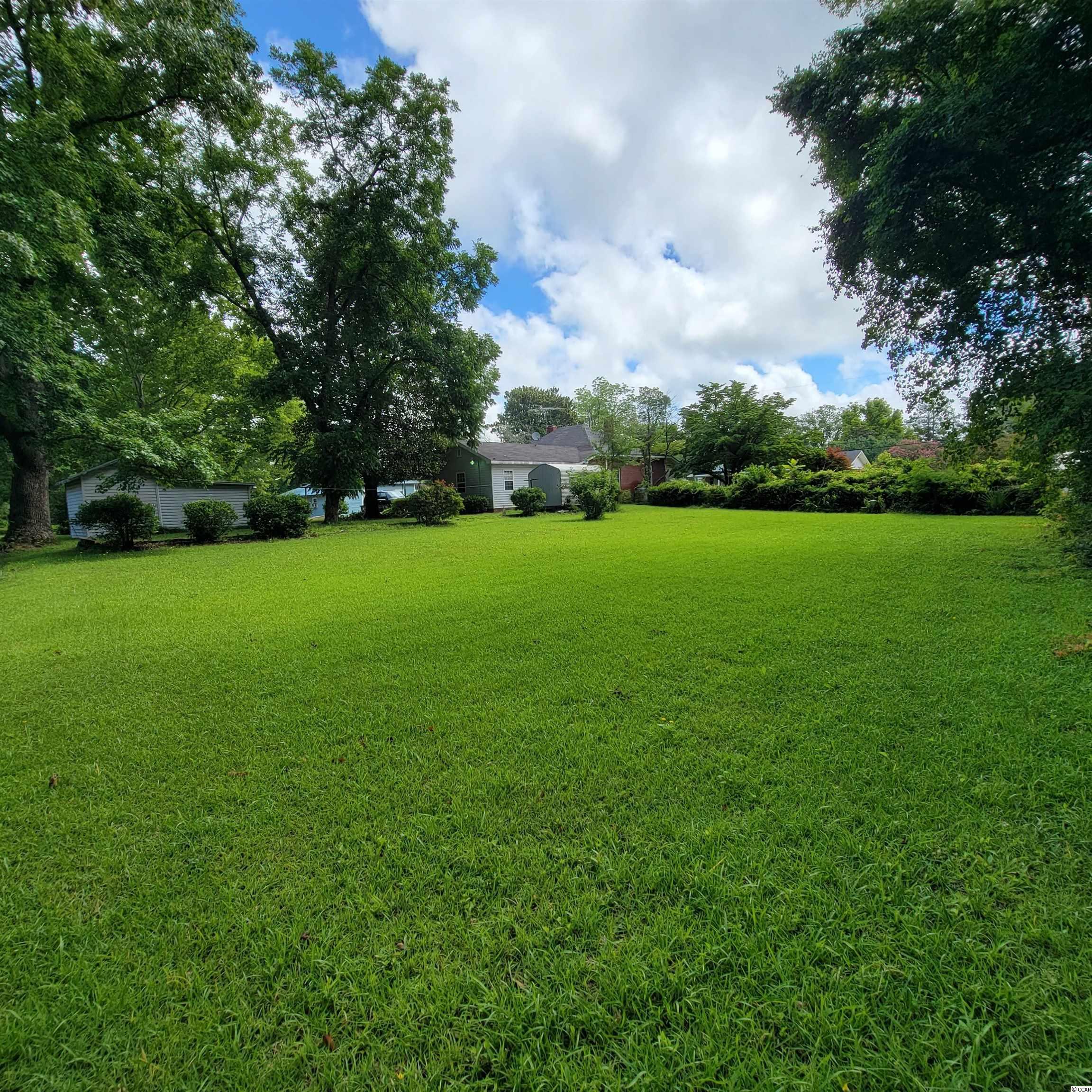 402 South Walnut Street Lake View, SC 29563 - Photo 23 of 31