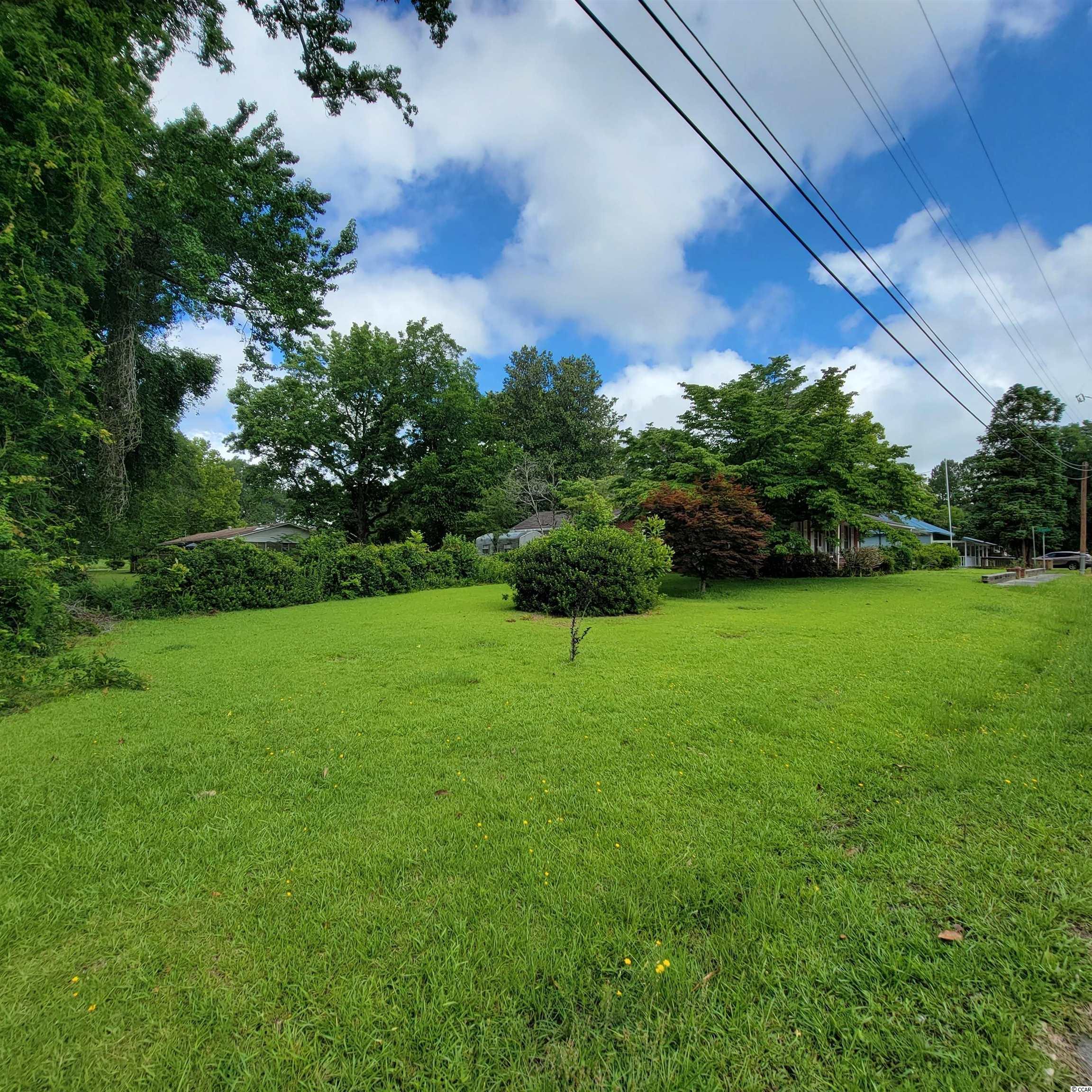 402 South Walnut Street Lake View, SC 29563 - Photo 27 of 31