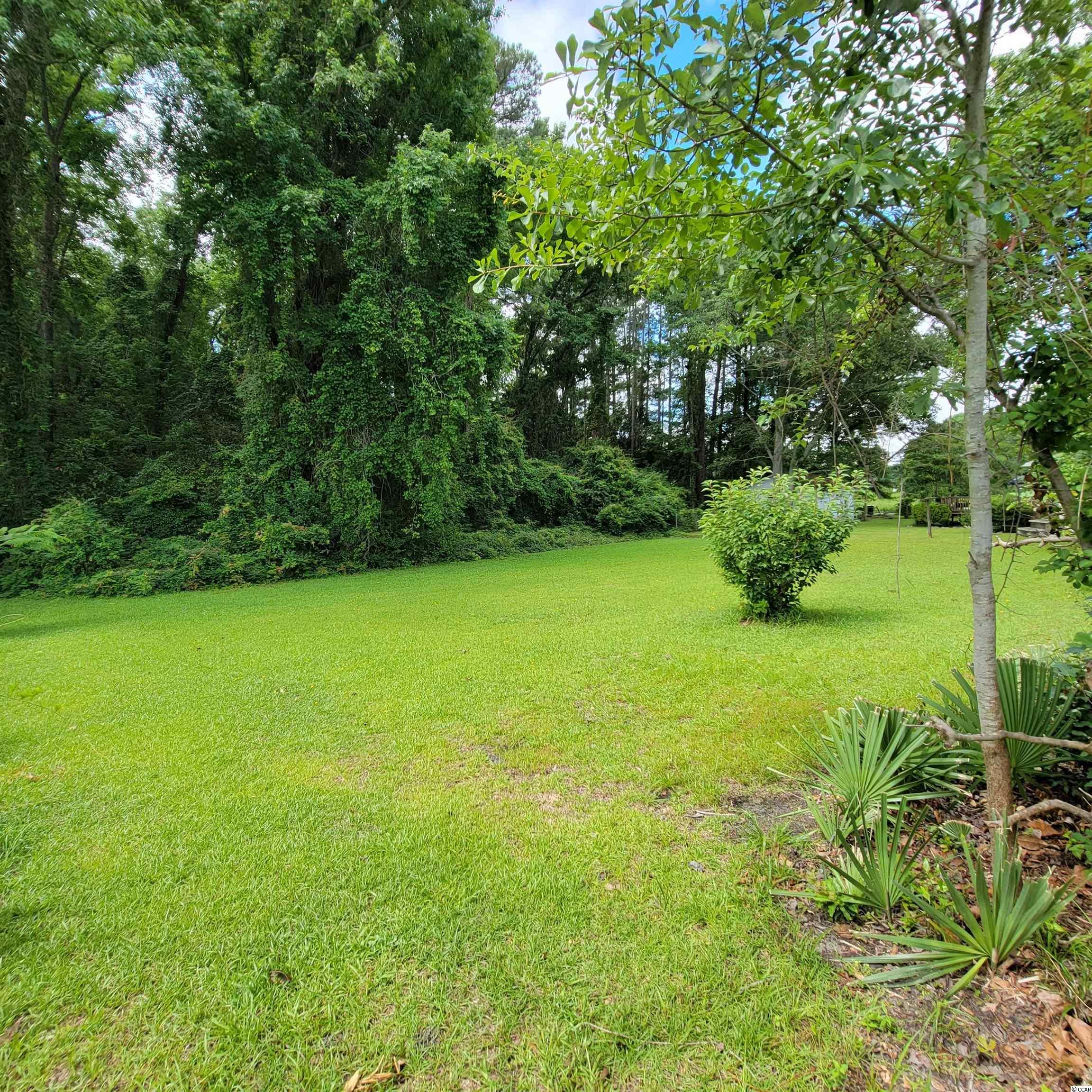 402 South Walnut Street Lake View, SC 29563 - Photo 29 of 31