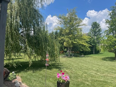 6002 Jackpine Road Bloomington, IL 61705 - Photo 50 of 51