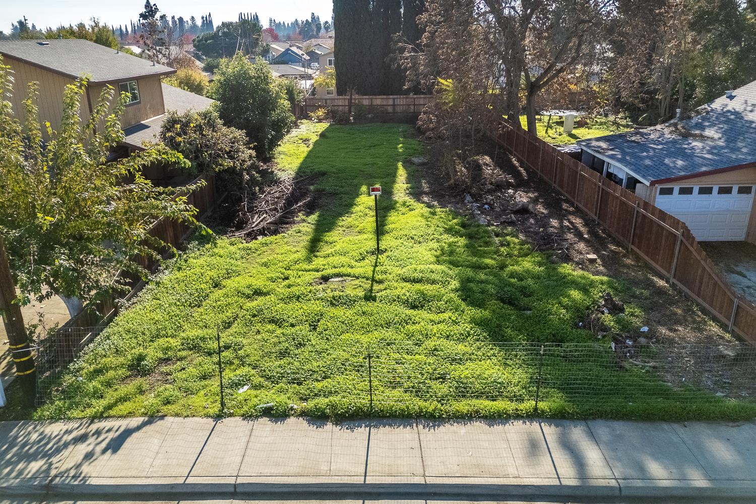 a view of a yard with plants