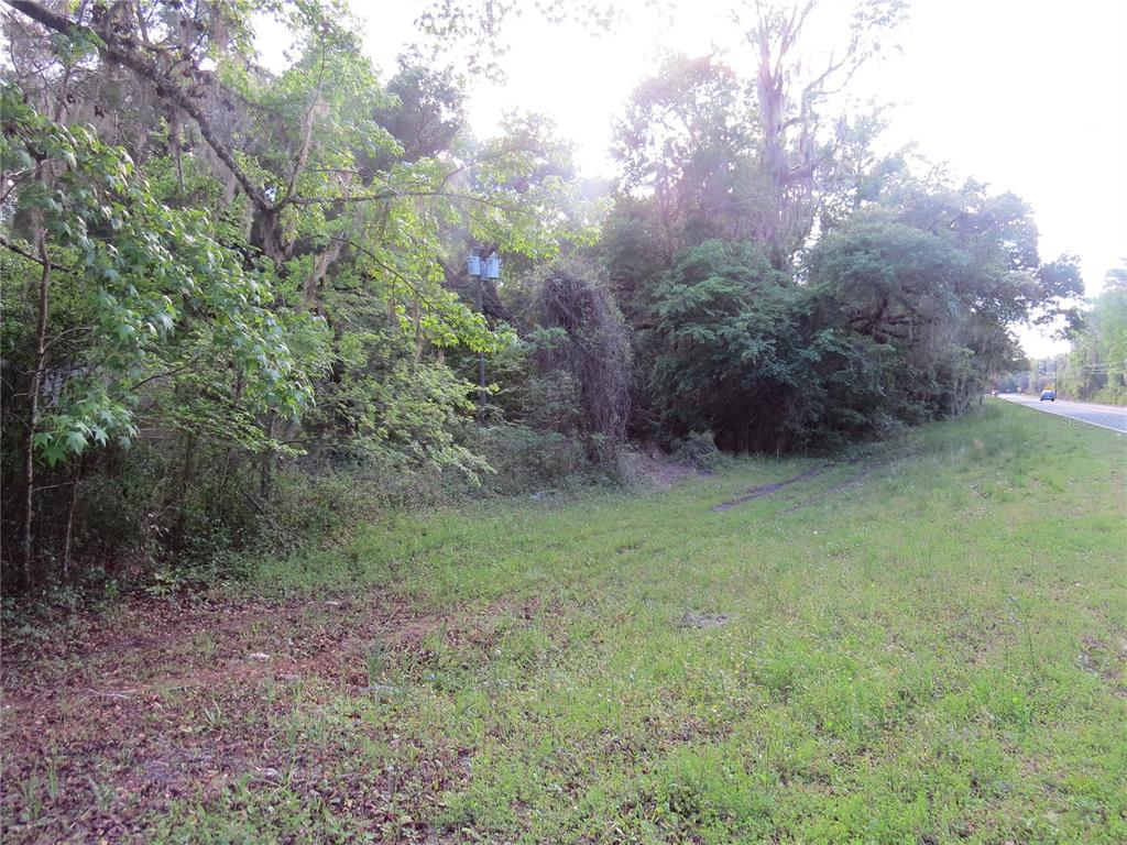 28380 Forbes Street Nobleton, FL 34661 - Photo 14 of 19 a backyard of a house with lots of green space