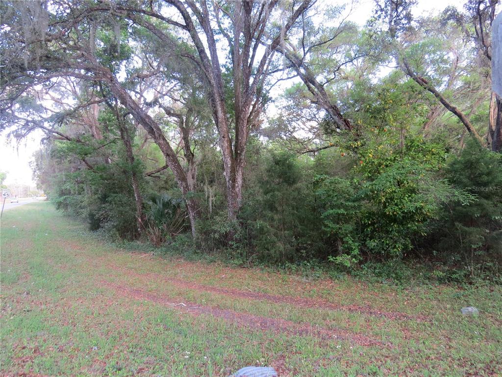 28380 Forbes Street Nobleton, FL 34661 - Photo 15 of 19 a backyard of a house with lots of green space