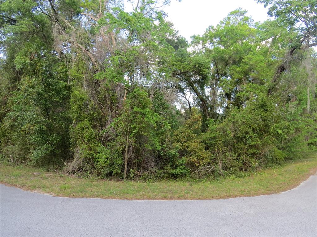 28380 Forbes Street Nobleton, FL 34661 - Photo 18 of 19